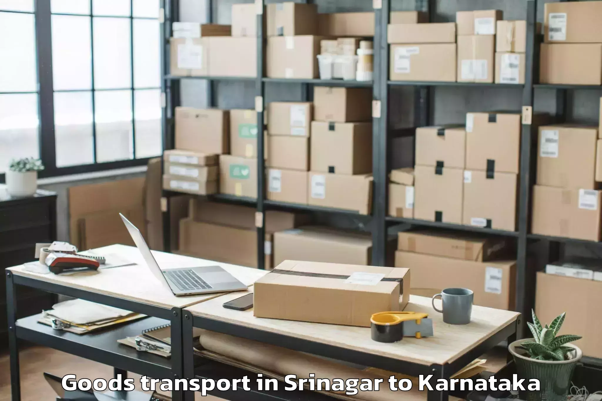 Leading Srinagar to Ballari Goods Transport Provider